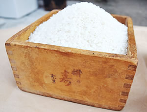 育てている品種の種類