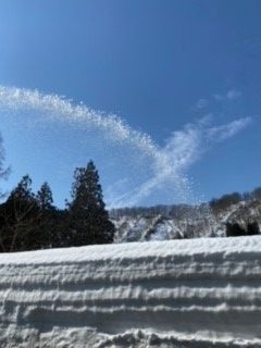 春になりました！！